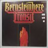 Transit -- Bernsteinhexe (2)
