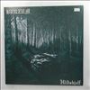 Burzum -- Hlidskjalf (2)