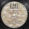 Bush Kate -- Dreaming (3)