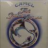 Camel -- Snow Goose (1)