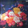 Teardrop Explodes -- Wilder (3)