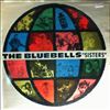 Bluebells -- Sisters (2)