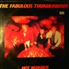 Fabulous Thunderbirds -- Hot Number (2)