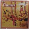 Camel -- Same (1)