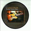 Steriogram -- Walkie Talkie Man (2)