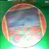 Hawkwind -- Limited Edition Collectors Picrure Disc (3)