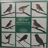 Hans A.Traber -- Alle Vogel  sind schon da (2)