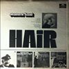Last James -- Hair (2)