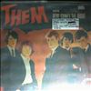 Them (Morrison Van) -- Here Comes The Night (1)