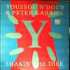 N`dour Youssou & Gabriel Peter -- Shakin' the tree (1)