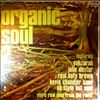 Various Artists -- Organic Soul 2 (2)