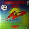 Grobschnitt -- Live 2010 (2)
