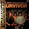 Survivor -- Best Collection Of Survivor (2)