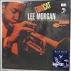Morgan Lee -- Tom Cat (2)
