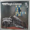 High Llamas (Stereolab) -- Here Come The Rattling Trees (2)