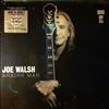 Walsh Joe -- Analog Man (2)