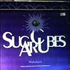 Sugarcubes (Bjork) -- Walkabout (1)