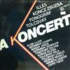 Various Artists -- A Koncert (2)