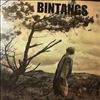 Bintangs -- It's A Nightmare (2)