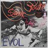 Sonic Youth (Sonic-Youth) -- EVOL (2)