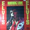 Presley Elvis -- Burning Love and Hits from His Movies, Vol. 2 (2)