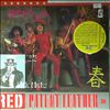 New York Dolls -- Red Patent Leather (2)
