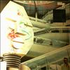 Parsons Alan Project -- I Robot (1)