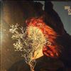 Goldfrapp -- Silver Eye (1)
