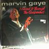 Gaye Marvin -- I Heard It Through The Grapevine (2)