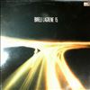 Lagrene Bireli -- 15 (2)