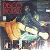 Various Artists -- Disco Fantasy - Dance to the beat of the top disco hits (2)