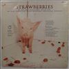 Damned -- Strawberries (1)