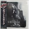 Whitesnake -- Best Of Whitesnake (2)
