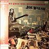 Walsh Joe -- There Goes The Neighborhood (1)