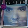 Gazebo -- I Like Chopin (1)