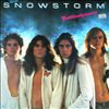 Snowstorm -- Nattlivstyranner (2)