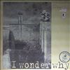 Bernreuther Wolfgang -- I wonder why (1)
