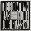 Boomtown Rats -- In The Long Grass (1)