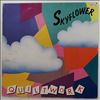 Skyflower -- Quiltwork (2)