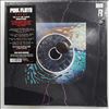 Pink Floyd -- Pulse (2)