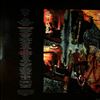 Santana -- Beyond Appearances (1)