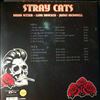 Stray Cats -- Best of The Toronto Strut (Live) (2)