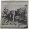 Walrus -- Same (3)