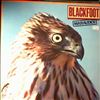 Blackfoot -- Marauder (1)