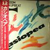 Casiopea -- Zoom / Down Upbeat (1)