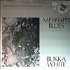 White Bukka -- Mississippi blues (2)