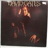 Gates David -- Never Let Her Go (1)