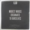 Modest Mouse -- Strangers To Ourselves (1)