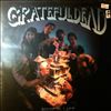 Grateful Dead -- Built To Last (2)