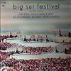 Various Artists -- Big Sur Festival (1)